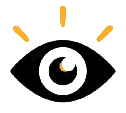 Vision